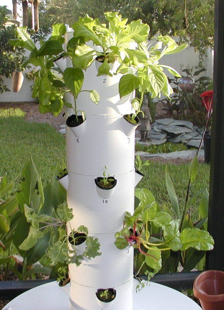 31+PVC Pipe Project Ideas For Garden