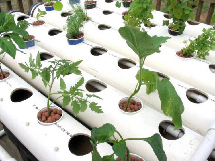 31+PVC Pipe Project Ideas For Garden