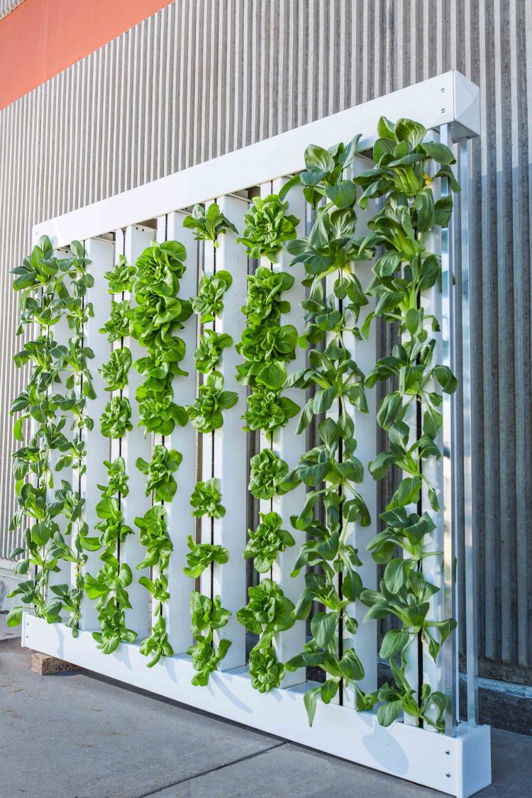 31+PVC Pipe Project Ideas For Garden