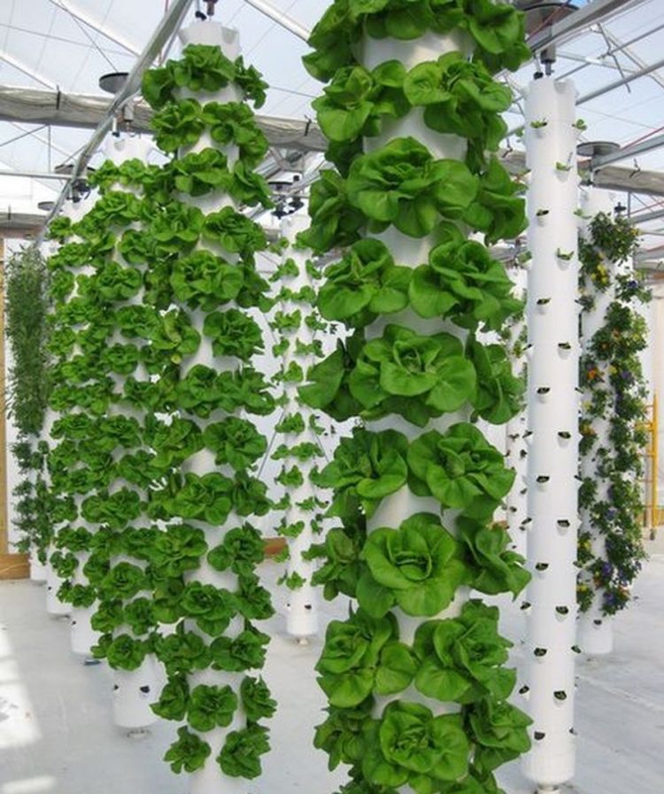 31+PVC Pipe Project Ideas For Garden