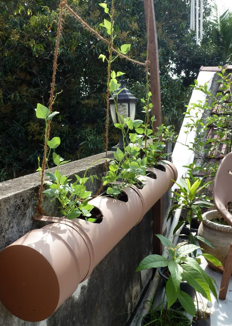 31+PVC Pipe Project Ideas For Garden