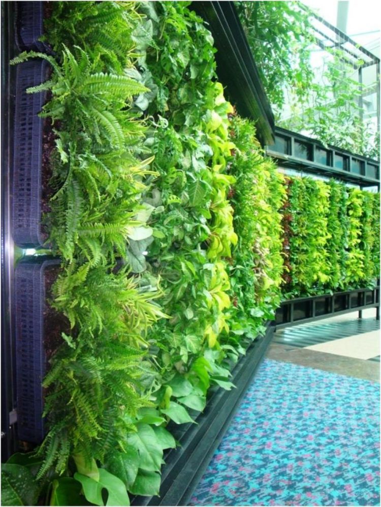 31+PVC Pipe Project Ideas For Garden