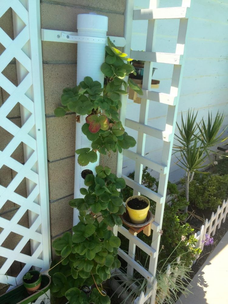 31+PVC Pipe Project Ideas For Garden
