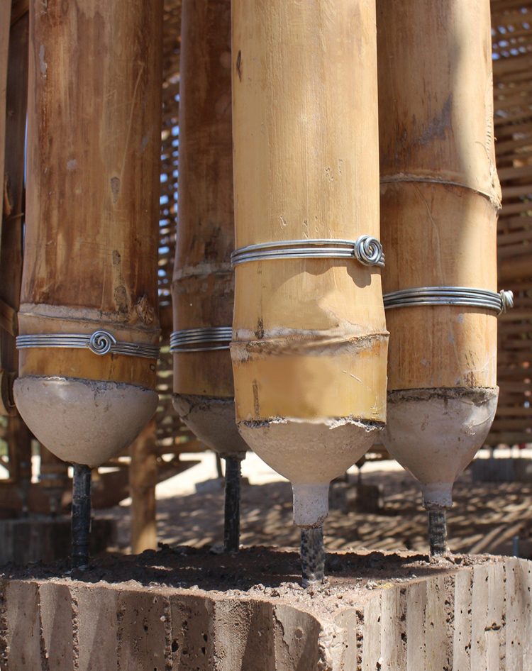 Why Bamboo Is More Stronger Than Steel Reinforcement?