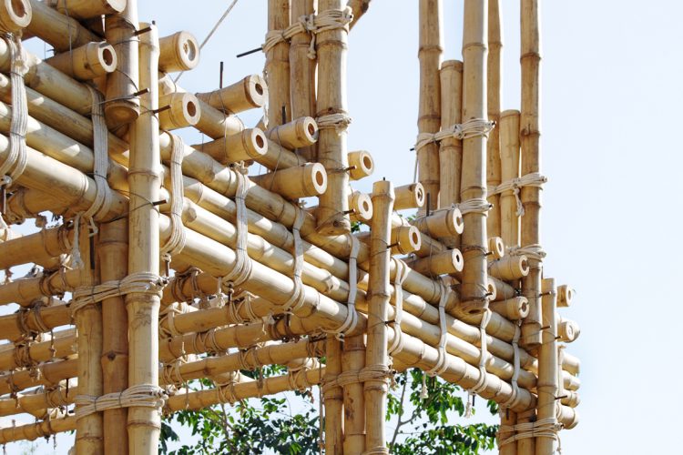 Why Bamboo Is More Stronger Than Steel Reinforcement?