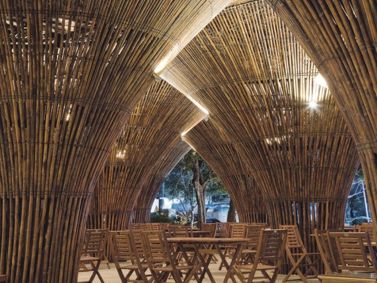 Why Bamboo Is More Stronger Than Steel Reinforcement?