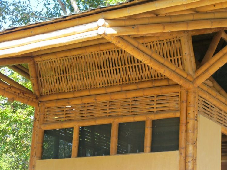 Why Bamboo Is More Stronger Than Steel Reinforcement?