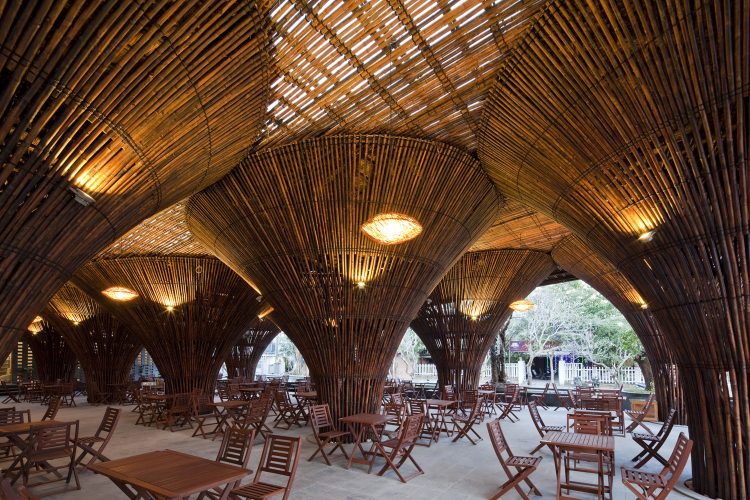 Why Bamboo Is More Stronger Than Steel Reinforcement?