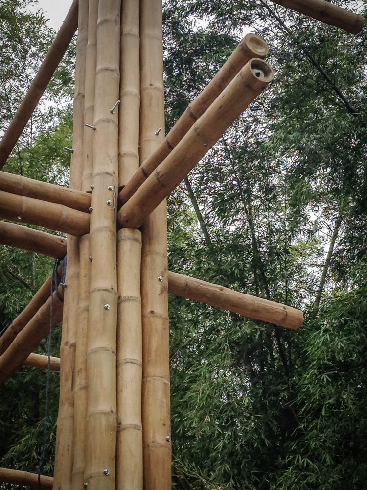 Why Bamboo Is More Stronger Than Steel Reinforcement?