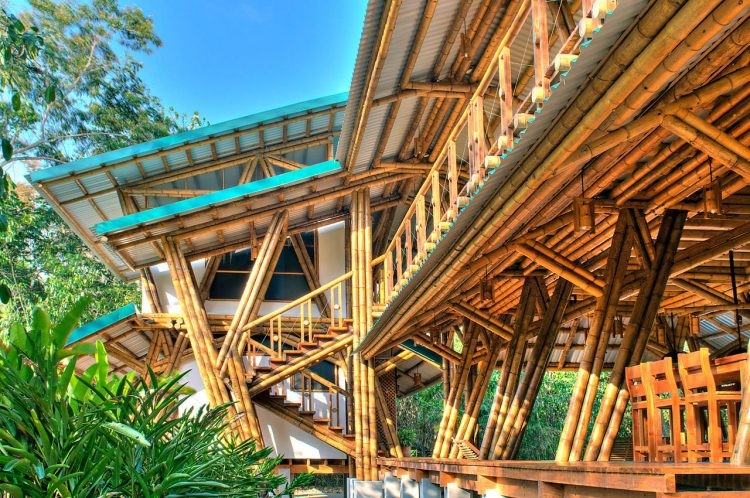 Why Bamboo Is More Stronger Than Steel Reinforcement?