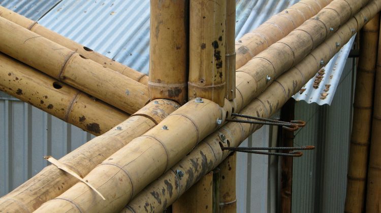 Why Bamboo Is More Stronger Than Steel Reinforcement?