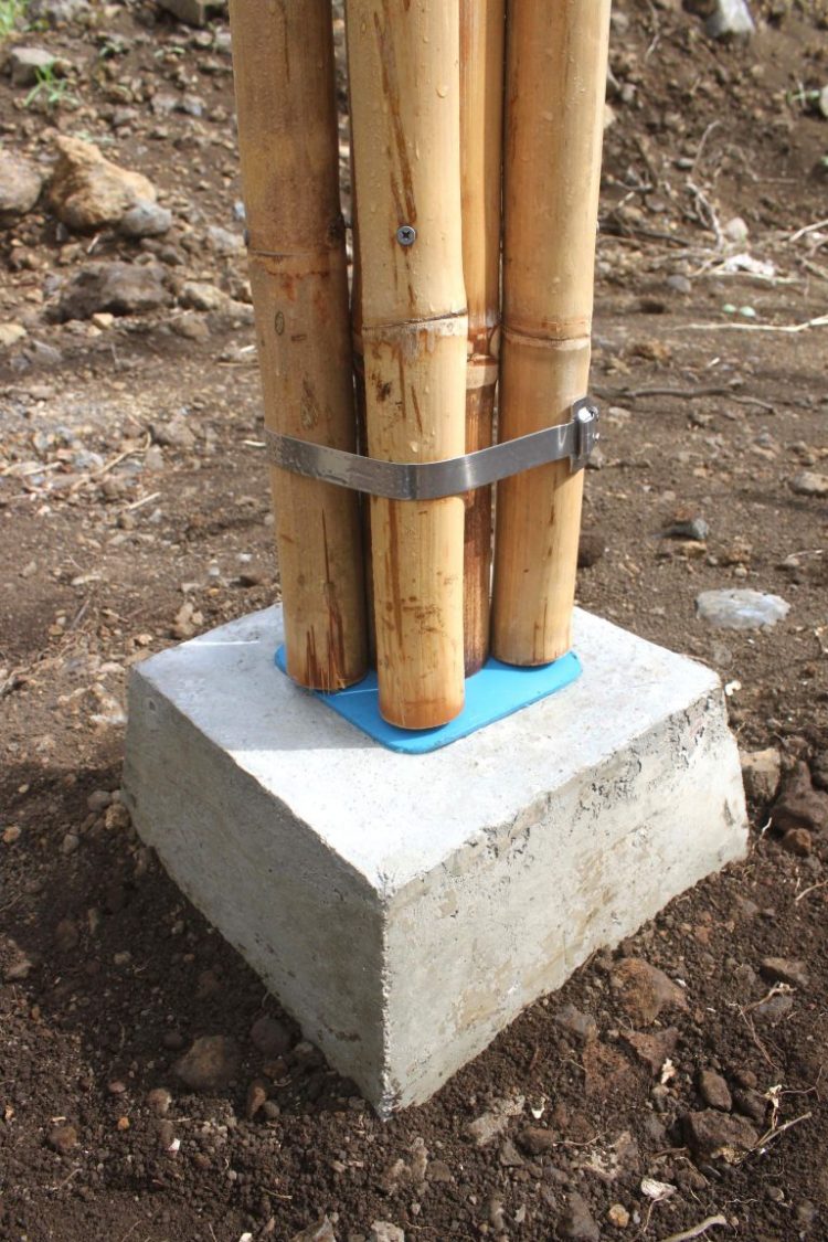 Why Bamboo Is More Stronger Than Steel Reinforcement?