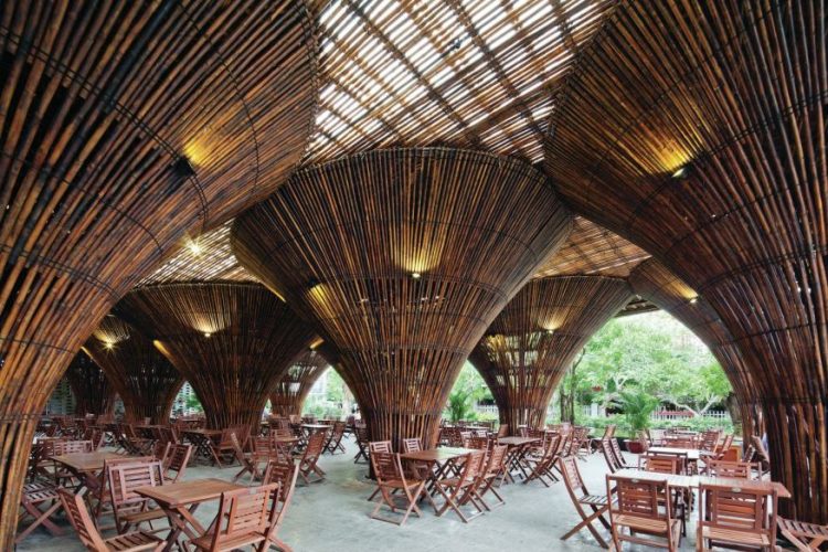 Why Bamboo Is More Stronger Than Steel Reinforcement?