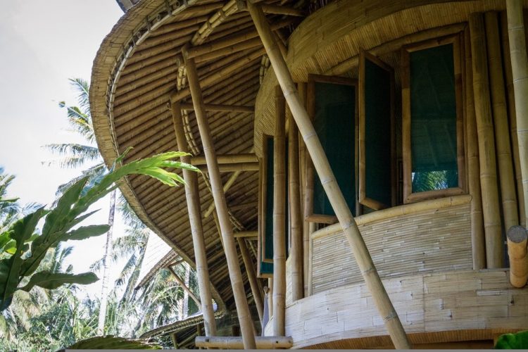Why Bamboo Is More Stronger Than Steel Reinforcement?
