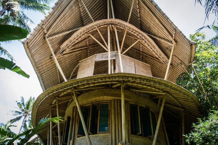 Why Bamboo Is More Stronger Than Steel Reinforcement?