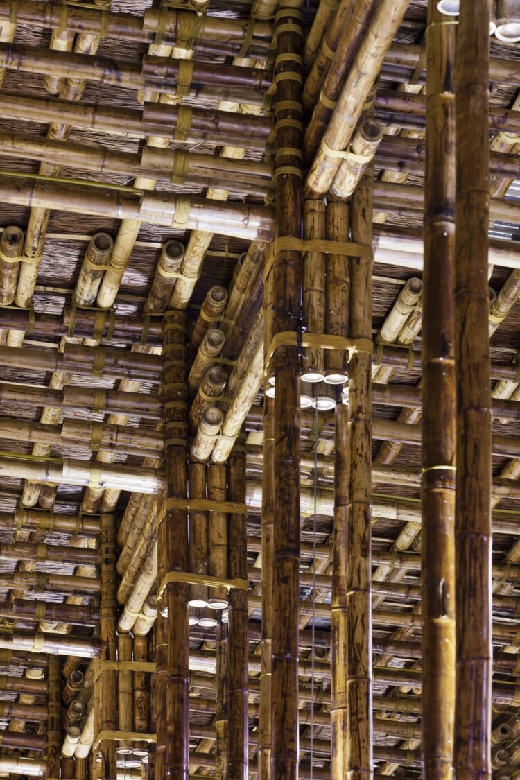 What Are The Advantages And Disadvantages Of Bamboo In Construction