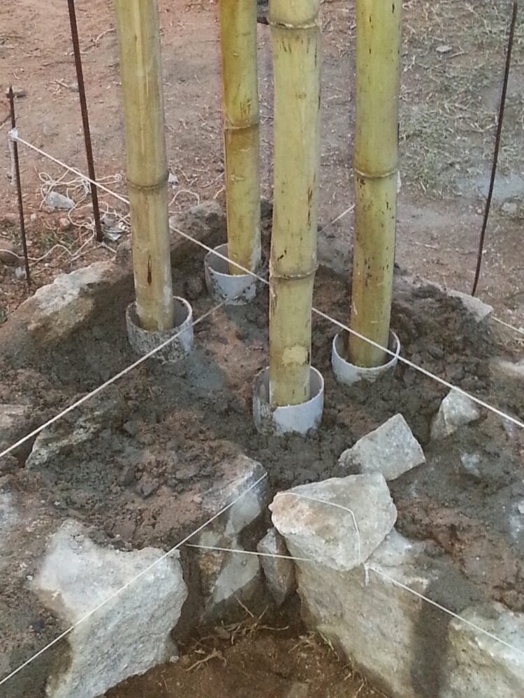 Bamboo Is The Best Alternative To Steel Reinforcement