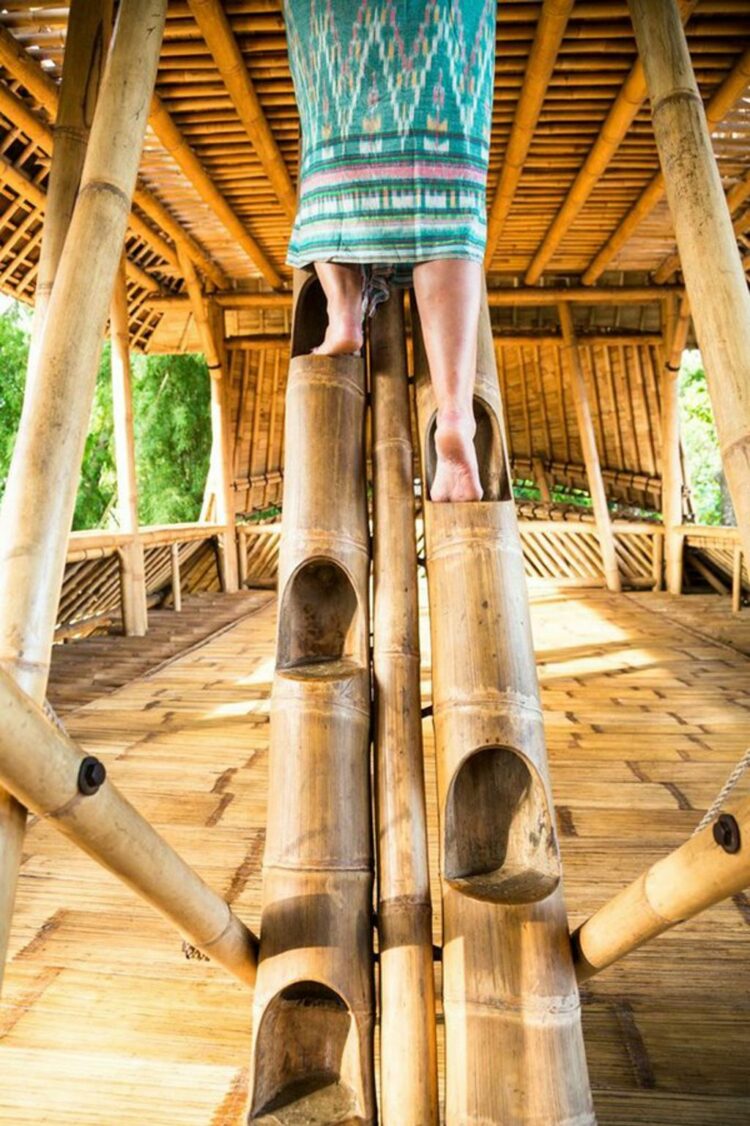 What Are The Advantages And Disadvantages Of Bamboo In Construction
