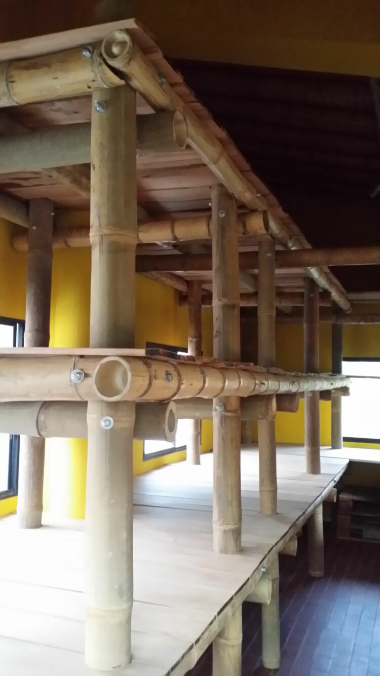 What Are The Advantages And Disadvantages Of Bamboo In Construction