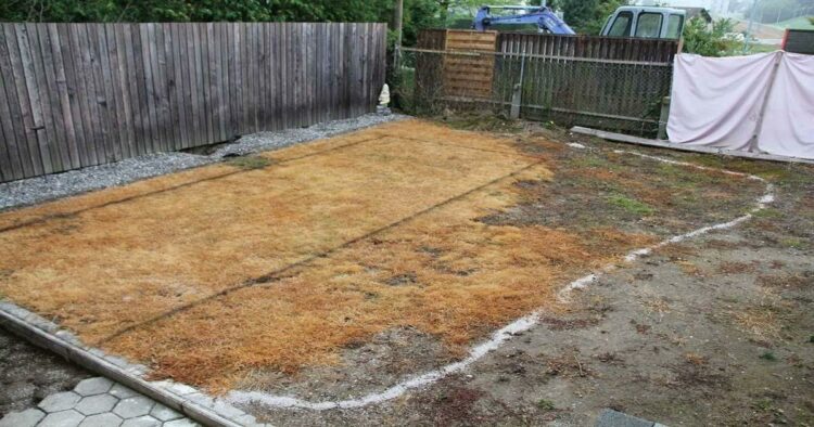 How To Construct RCC Concrete Swimming Pool