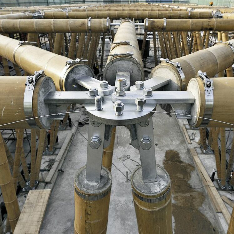 What Are The Advantages And Disadvantages Of Bamboo In Construction
