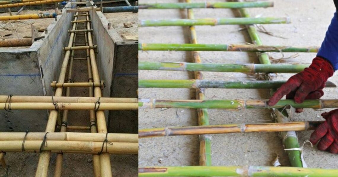 Bamboo Is The Best Alternative To Steel Reinforcement Daily Engineering