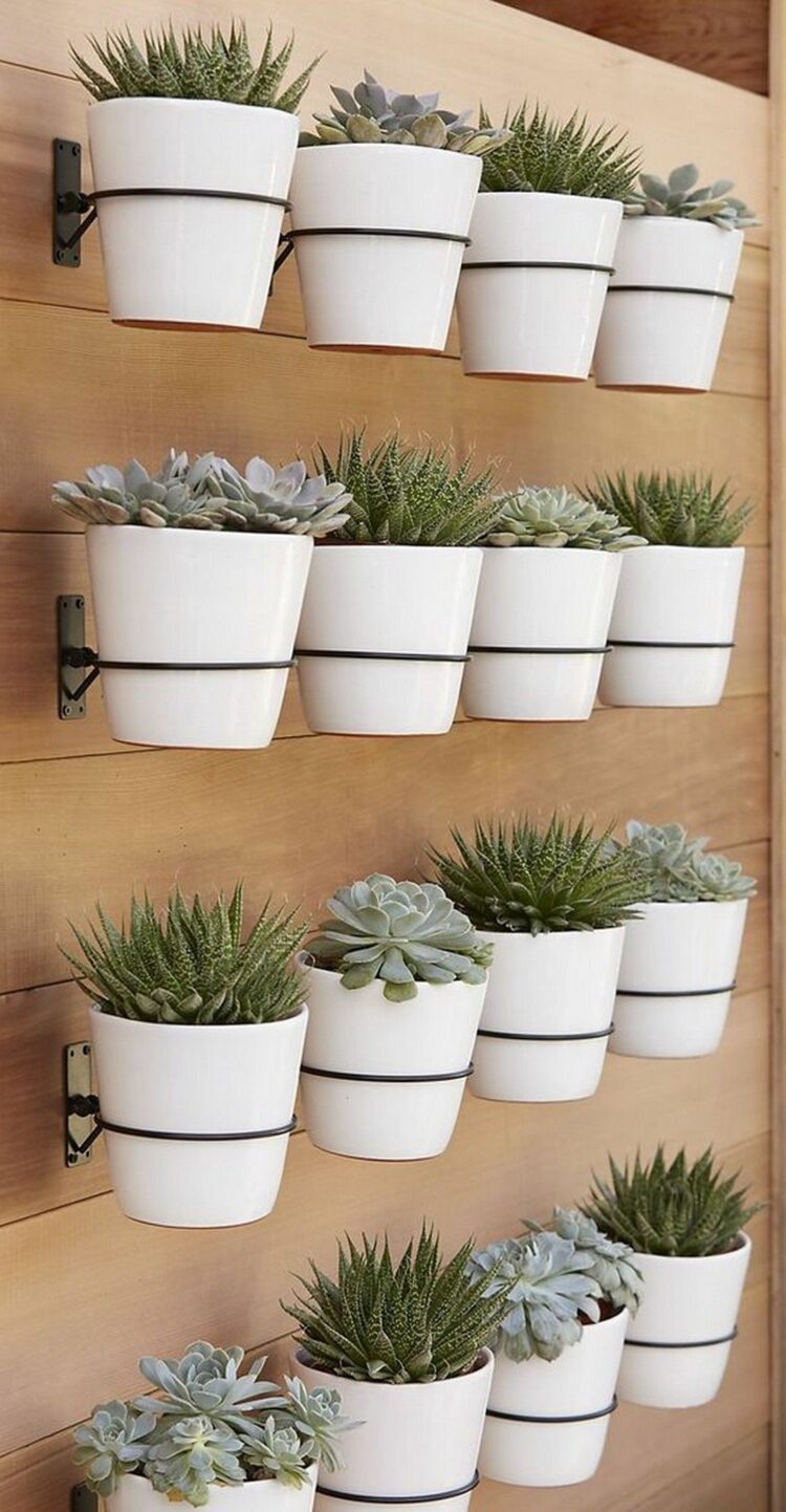 15 Stylish Ideas To Make Your Pots Look Beautiful You’ll Love It