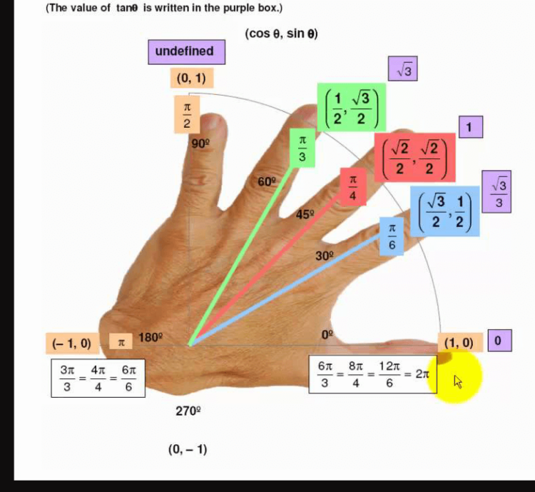 Measure Everything Only With Your Hands