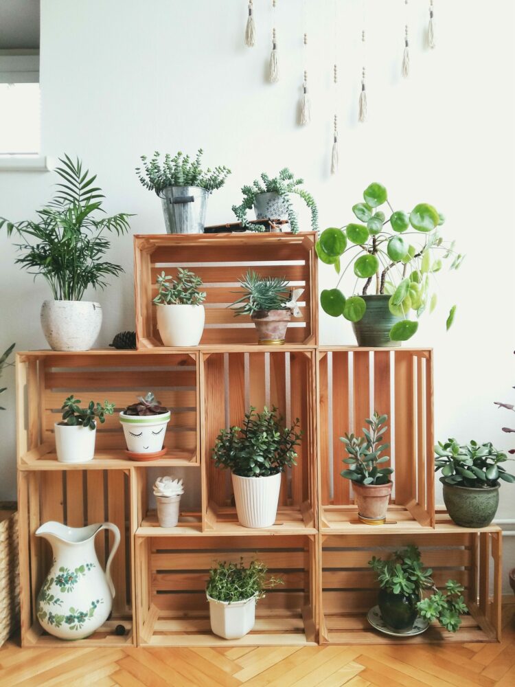 15 Stylish Ideas To Make Your Pots Look Beautiful You’ll Love It