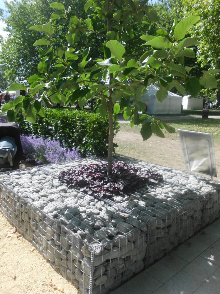 Top 50 Modern Gabion Planter Ideas And Learn How To Build It