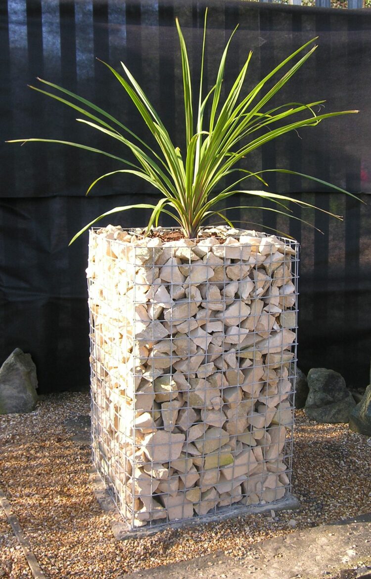 Top 50 Modern Gabion Planter Ideas And Learn How To Build It