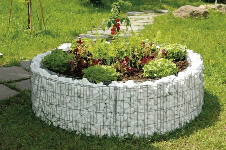 Top 50 Modern Gabion Planter Ideas And Learn How To Build It