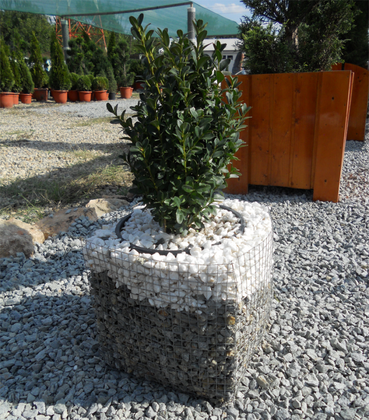 Top 50 Modern Gabion Planter Ideas And Learn How To Build It