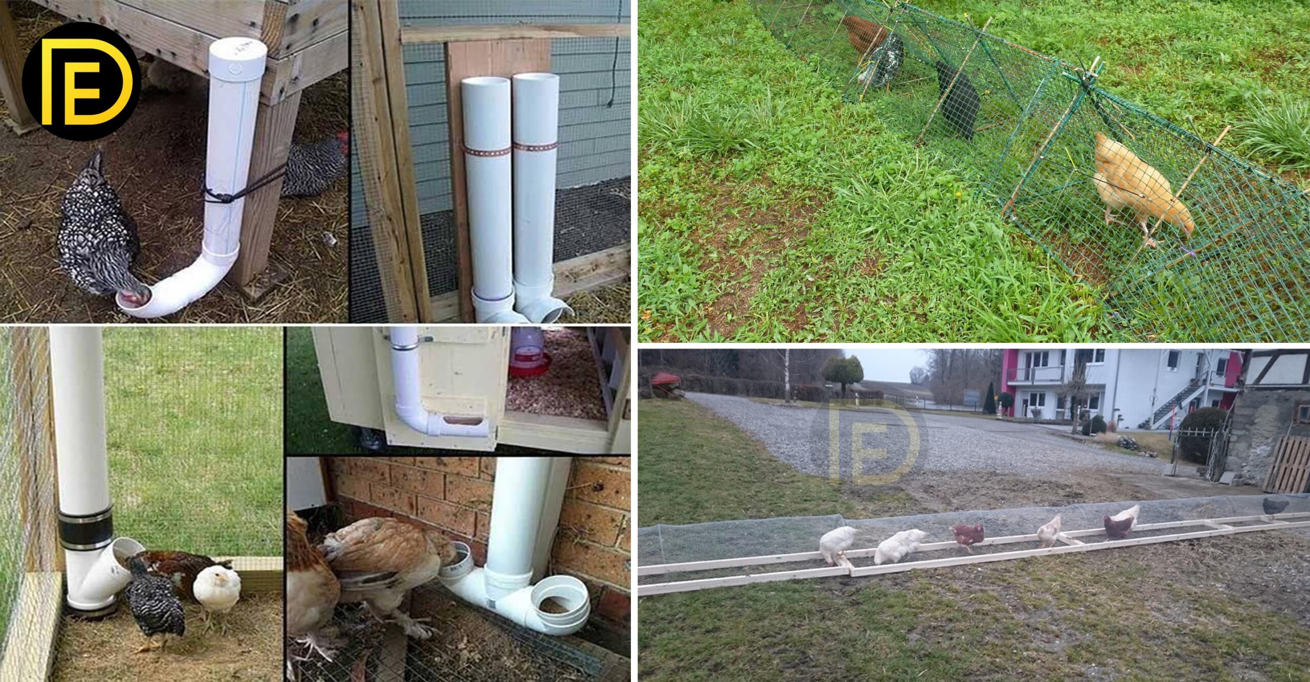 How To Reduce Chicken Feed Waste And Build Coop Tunnel Around The Garden
