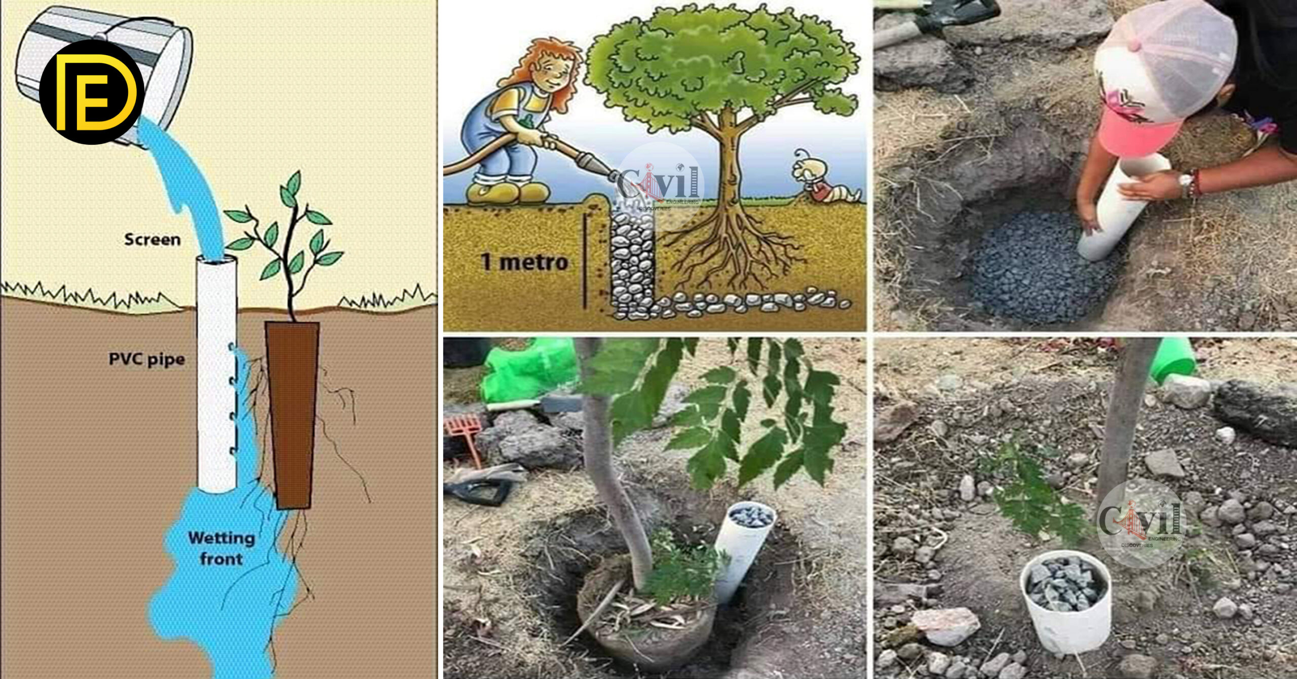 Cool New Method For Planting Trees In Major Cities Step By Step