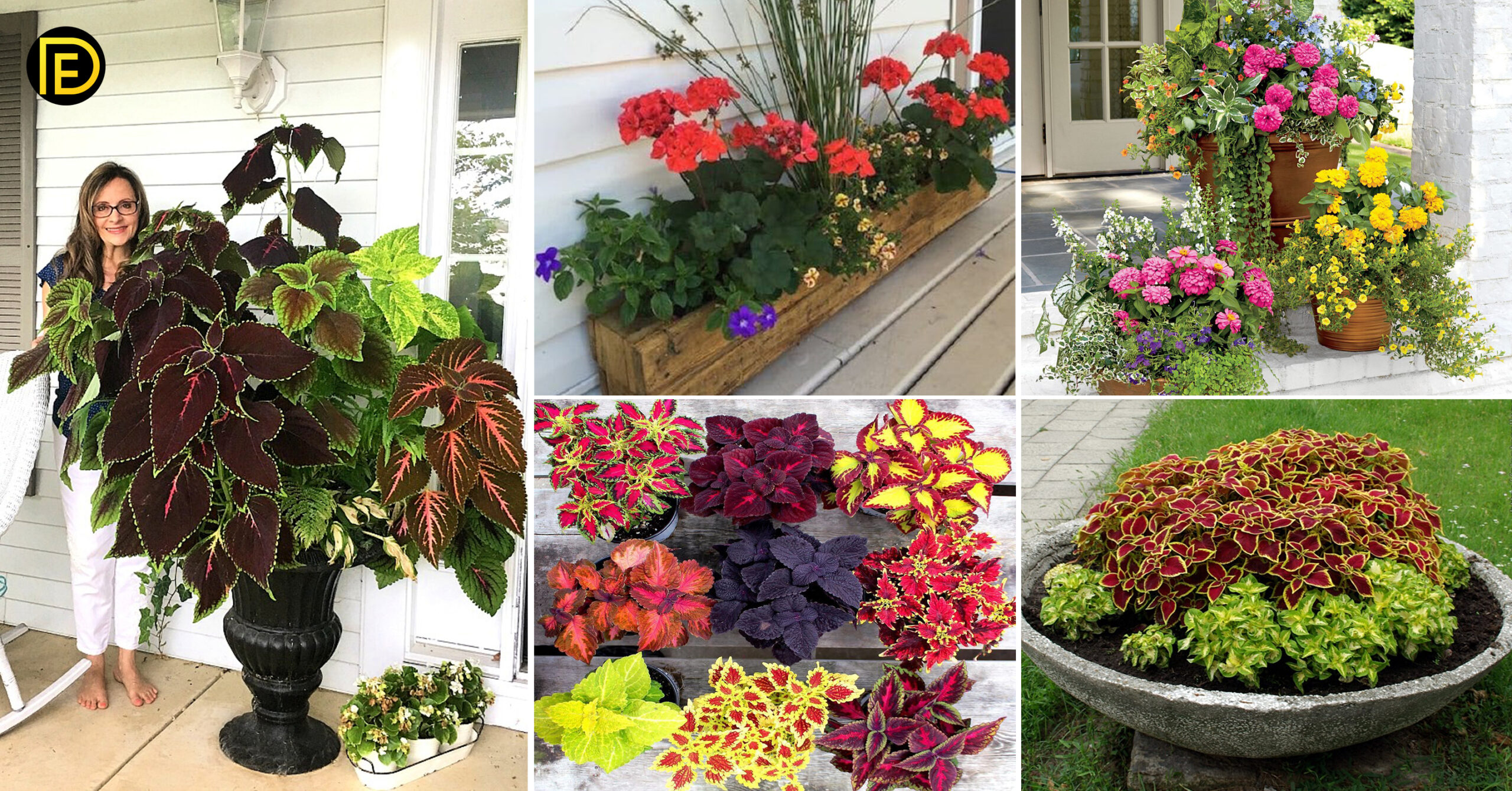 36+ Unique and Creative Garden Container Ideas You Never Thought Of